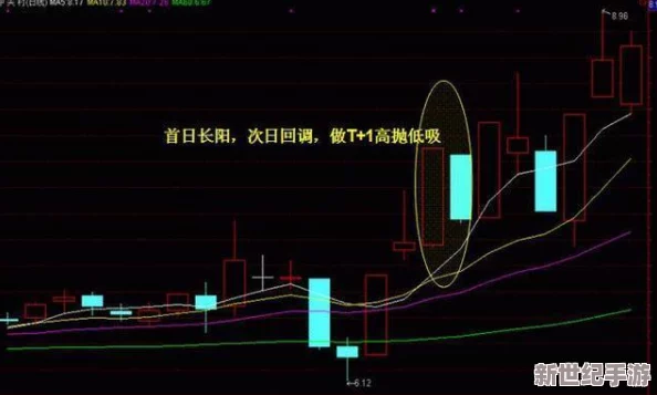淑荣第二次上船