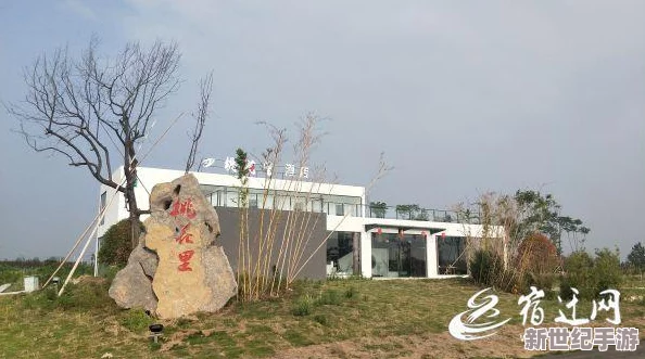 桃花师如何升等级