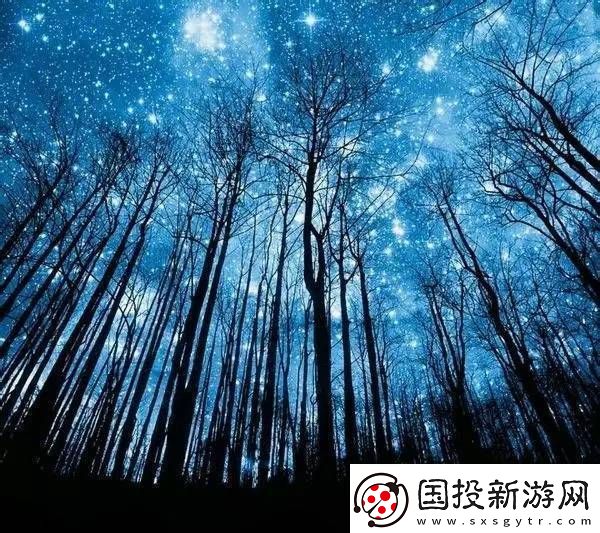 探索手来到她的桃花源