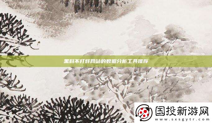 黑料不打烊站的数据分析工具推荐