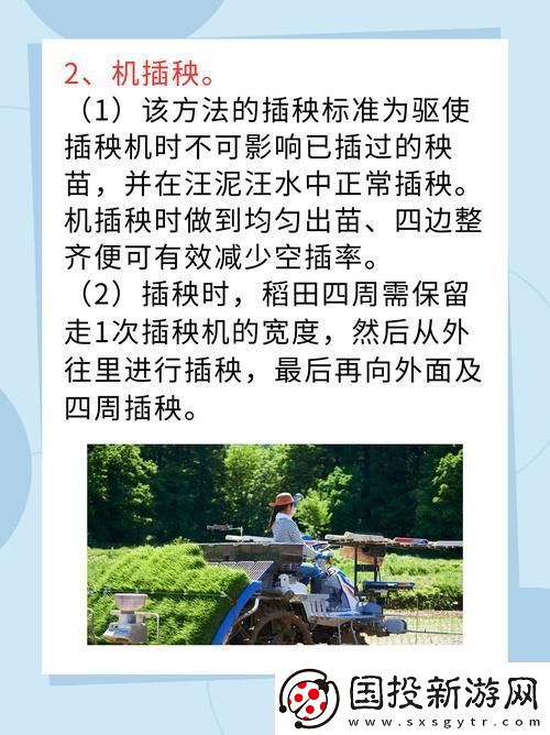 夫妻插秧38种方法图片大全