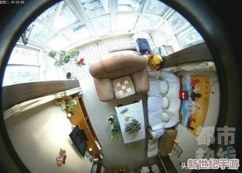 扒