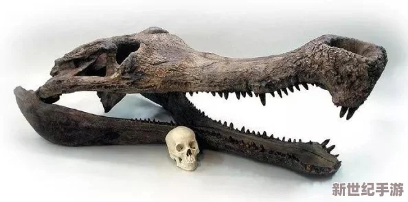 探秘奇异生物界