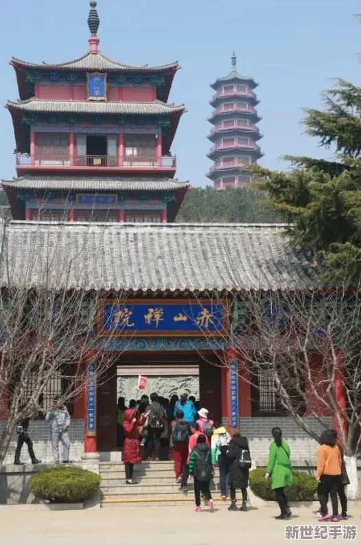 樱花草高清在线