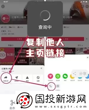 抖音账号最新权重查询入口