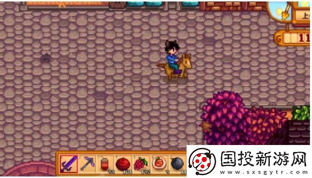 星露谷物语海莉事情在哪里