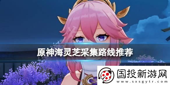 原神海灵芝怎么收集