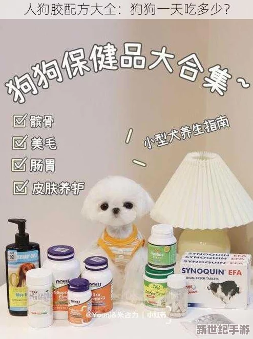震撼发布!人狗胶配方大全狗狗