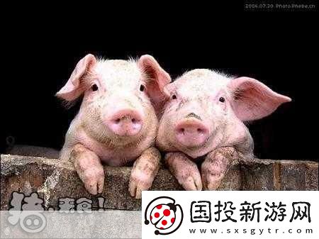 人类与动物的心灵交流