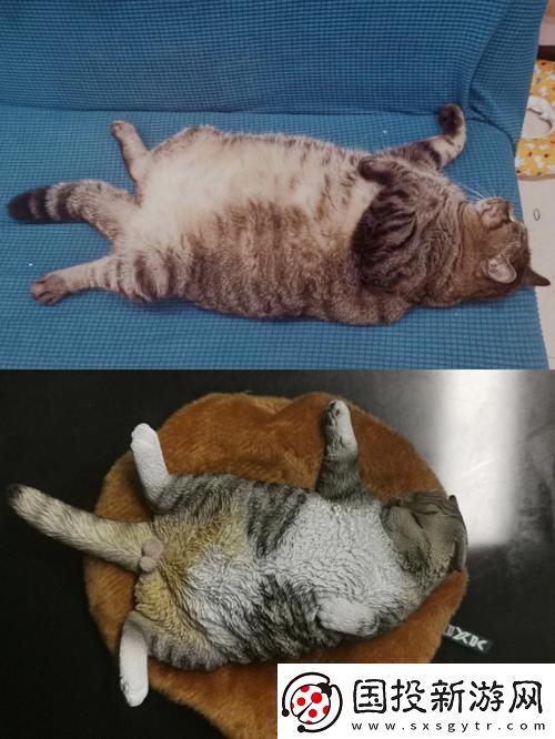 疯狂科技潮！除了柚子猫和玩偶