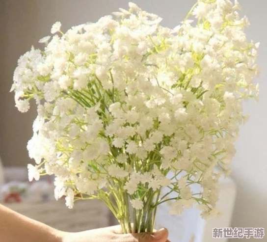 震惊！法国满天星八尺夫人竟然被发现秘密身份