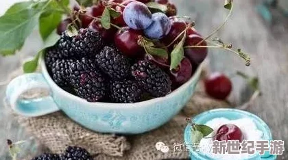 麻豆香蕉草莓丝瓜榴莲樱桃