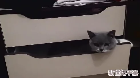 柚子猫小僵尸黑料爆料