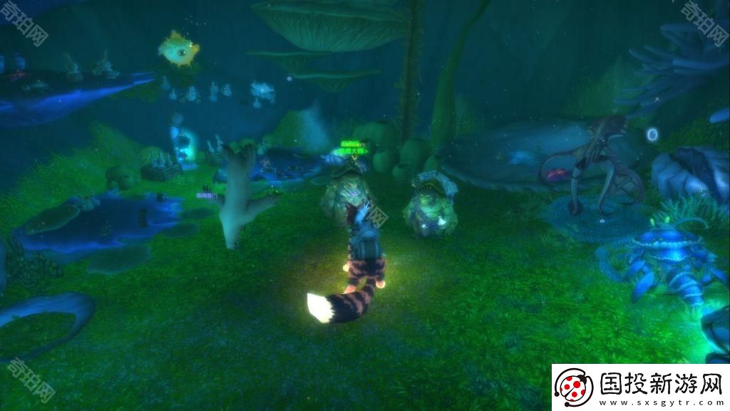 魔兽世界20周年全庆典箱子在哪