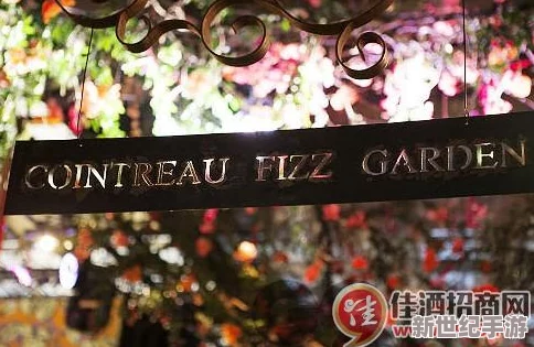 震惊！法国满天星八尺夫人竟然被发现秘密身份