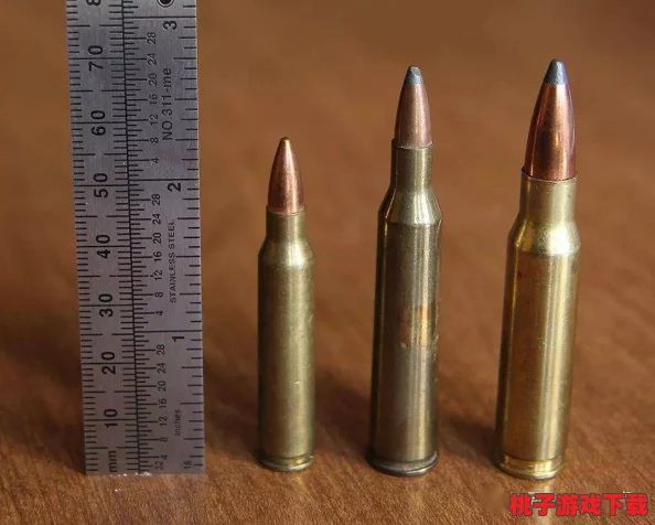 62x51mm步枪弹引发全球关注