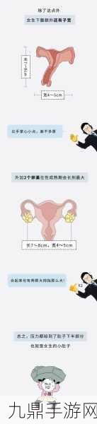 小肚子灌得鼓鼓的即将进入内测