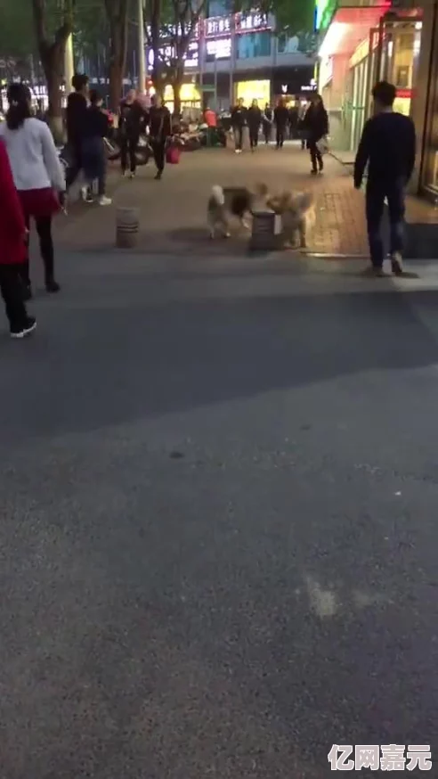 震惊！嗯啊边走边做…h楼梯李尽欢竟然在现场遭遇意外
