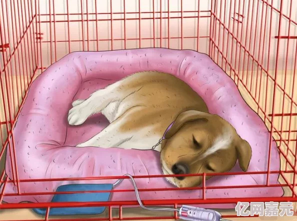 夜里睡不着一个人偷偷看b站