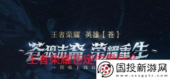 王者荣耀苍定位是什么