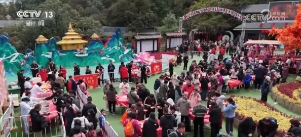 Christmas农村夫妻ho