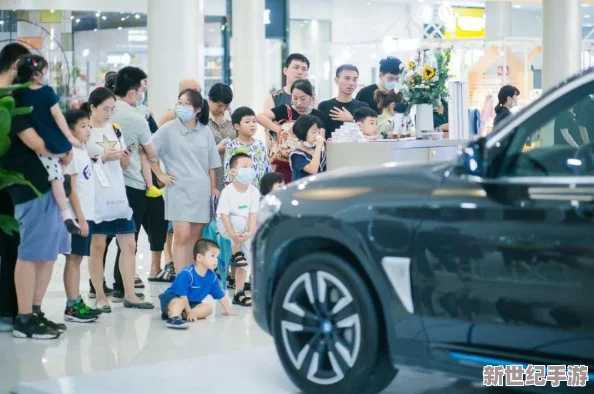 成品网站入口网页版怎样