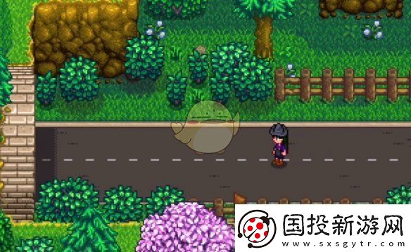 星露谷物语神秘的齐任务怎么做