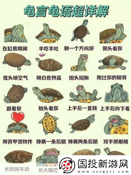 车辆颠簸后滑进去的应急措施