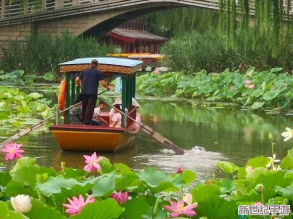 老人船上弄雨荷第13集介绍