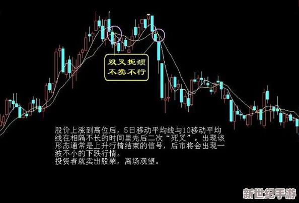 傅夫子俩1V2