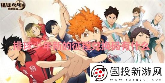 排球少年新的征程兑换码有什么