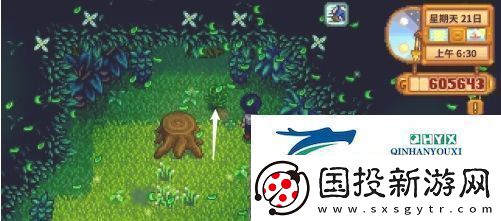 星露谷物语蕨菜怎么获取