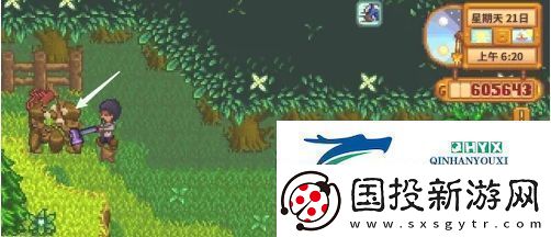 星露谷物语蕨菜怎么获取