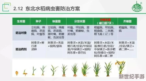 嫩叶草转换路线取得新进展