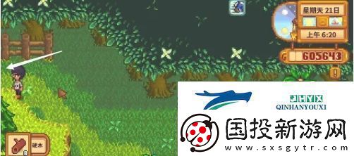 星露谷物语蕨菜怎么获取