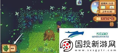 星露谷物语蕨菜怎么获取