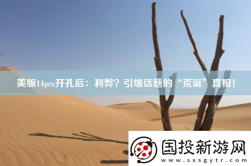 美版14pro开孔后