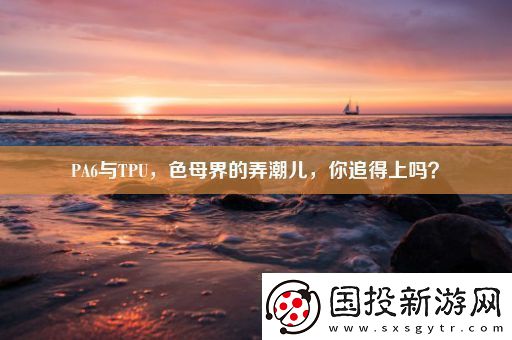PA6与TPU
