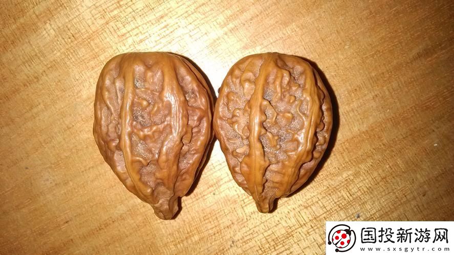 核心狂想曲