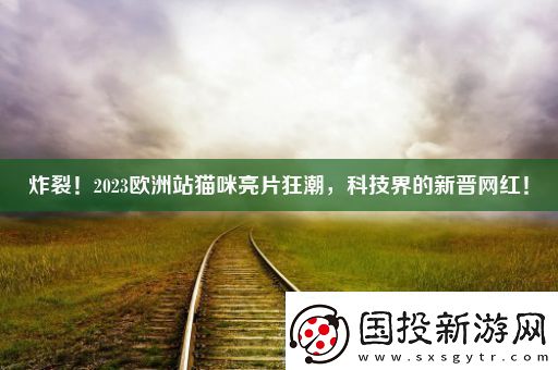 炸裂!2023欧洲站猫咪亮片狂潮科技界的新晋红!