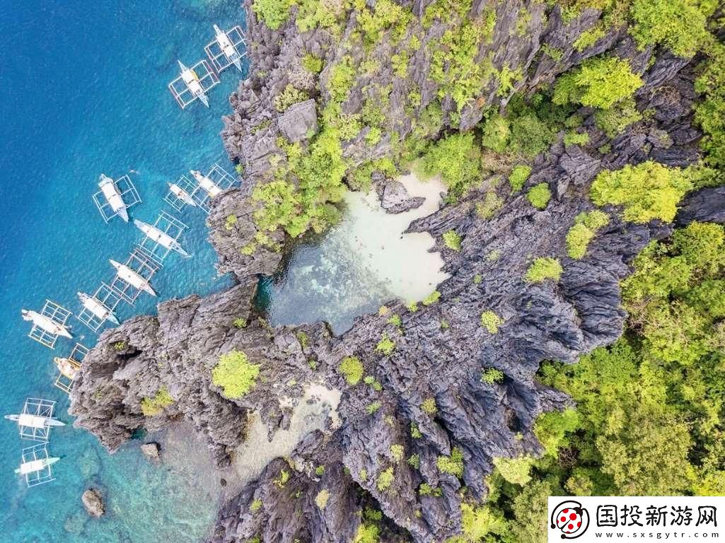 洛克王国幸运时刻选择指南
