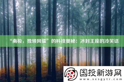 “南极