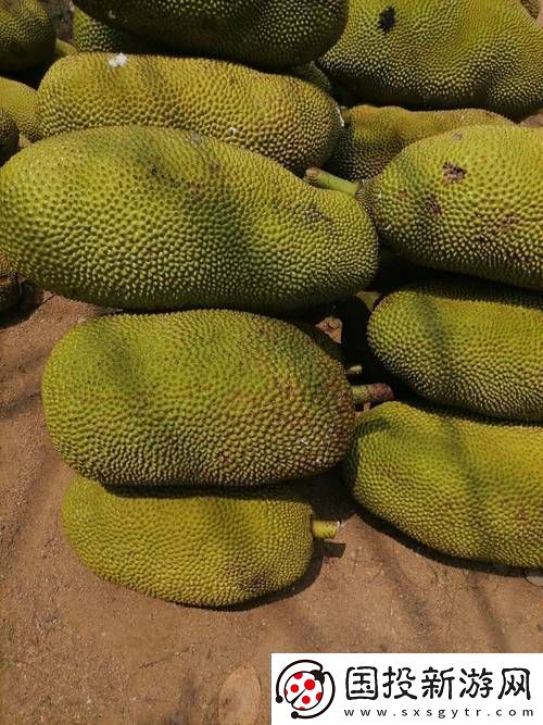 国精产品一一二二菠萝蜜