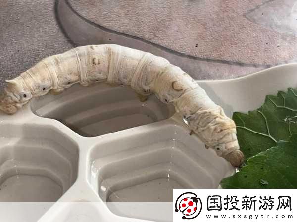 探秘手游中的蚕吐丝之谜