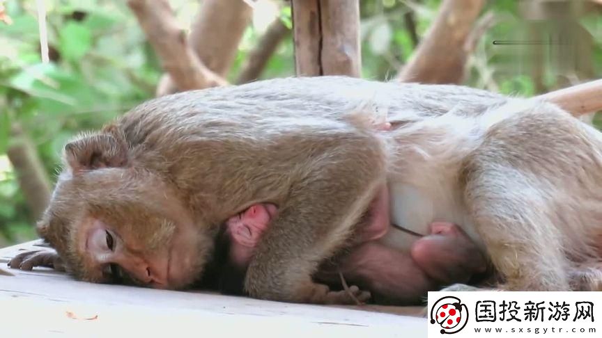 童言无忌
