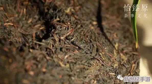 三亚新茶嫩茶wx＂惊现极品新品