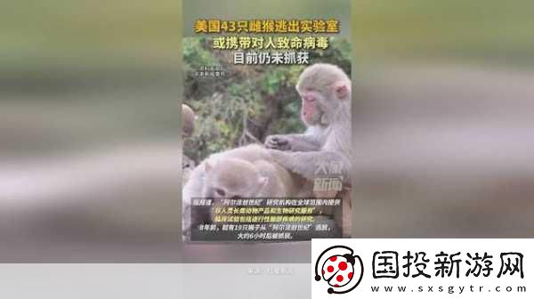 药企囤猴热引发手游界遐想