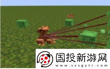 我的世界青蛙有什么用