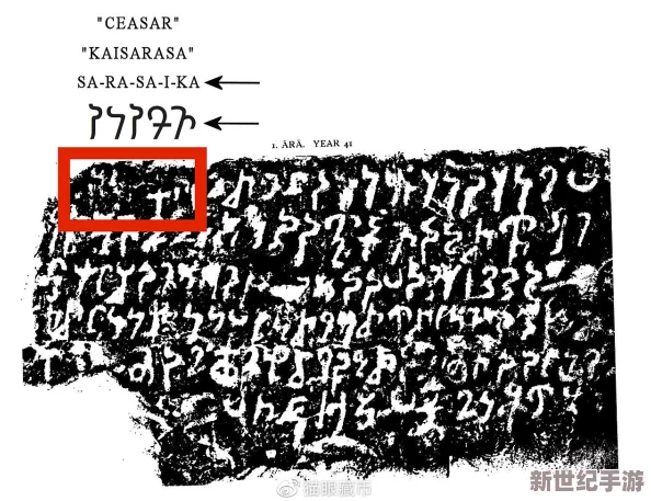 “waswas17777777X9o75oxsl”引发全球热议