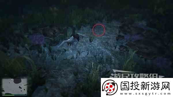 GTAOL全海底迷幻仙人掌位置一览水下仙人掌在哪